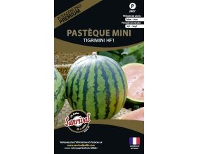 Graines potagères premium pastèque mini tigrimini