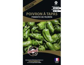 Graines potagères premium poivron (Padron spécial tapas)