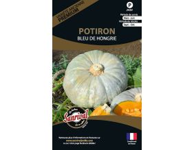 Graines potagères premium potiron (Bleu de Hongrie)