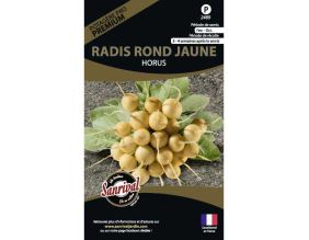 Graines potagères premium radis (Rond jaune Horus)