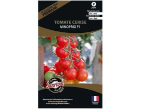 Graines potagères premium tomate (Cerise Minoprio)