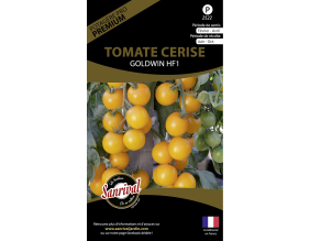 Graines potagères premium tomate (Cerise jaune Goldwin)