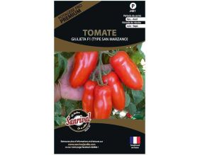 Graines potagères premium tomate (Giulieta)