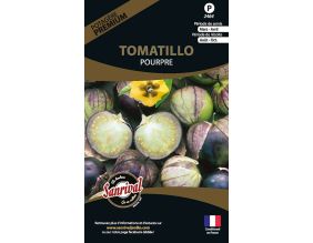 Graines potagères premium tomatillo (Pourpre)