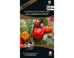 Graines potagères premium aubergine (Africaine)