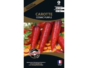 Graines potagères premium carotte (Cosmic purple)