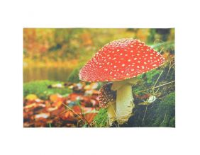 Grand paillasson déco avec motif champignon