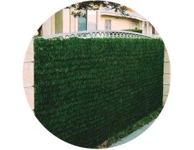 Haie artificielle 140 brins vert thuya en rouleau (1 x 3 m (Lot de 8))