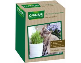 Herbe à chats adapté à la digestion Good life