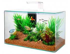 Kit aquarium Aqua clear 50 (Blanc)