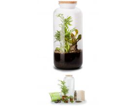 Kit terrarium plantes Bonbonne mix (L (23 x 51 cm))