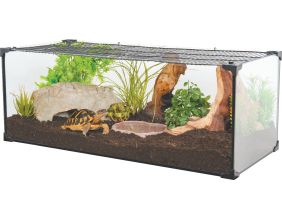 Kit terrarium tortue terrestre Karapas Pro