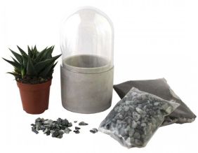 Kit terrarium verrine succulente (Succulente verte)