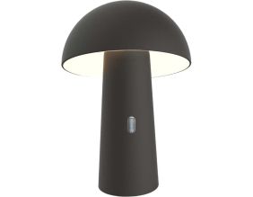 Lampe de jardin sur batterie Shitake (Noir)