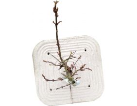 Paillage en fibres recyclées (Lot de 50)