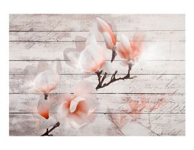 Papier peint - Subtlety of the Magnolia (300x210)