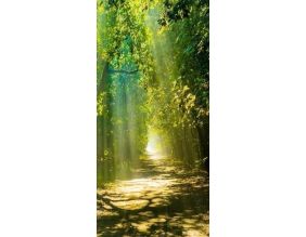 Papier-peint pour porte - Sunny Avenue (90x210)