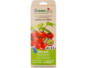 Piège englué spécial thrips (Lot de 10 plaques)