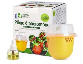 Piège à phéromones mouche asiatique des fruits rouges Droso Pro