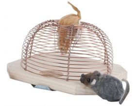 Piège à souris vivantes