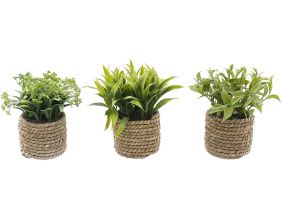 Plante artificielle avec pot tressé (Lot de 3)