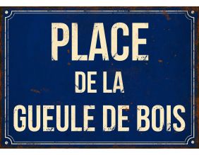 Plaque en métal humour 21 x 15 cm (Place de la gueule de bois)