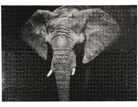 Puzzle 1000 pièces (Eléphant)