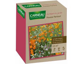Semence 5 mois de fleurs 15 m² (Pousse partout)