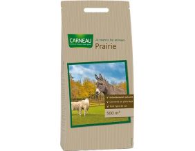Semence spéciale prairie (500 m²)