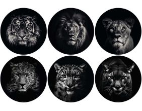 Set de table en vinyle 38 cm King & Queen (Lot de 6 sets de table motifs assortis)