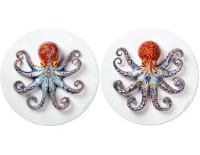 Set de table en vinyle 38 cm Octopus (Lot de 2 sets de table motifs assortis)