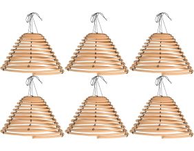 Spirales de citronnelle à suspendre (Lot de 6) (S)