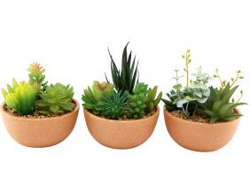 Succulentes artificielles en pot terracotta 12 x 13.5 cm (Lot de 3)