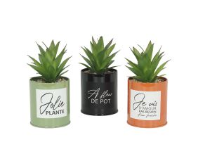 Succulentes artificielles dans pots colorés 17 cm (Lot de 3)