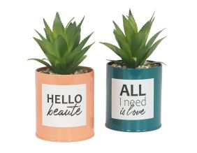 Succulentes artificielles dans pots à message 17 cm (Lot de 2)