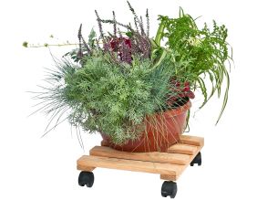 Support pour plantes à roulettes en pin brut (Carré)
