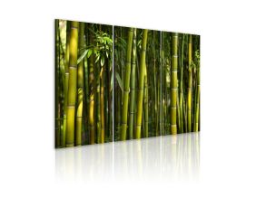 Tableau - Bambou et vert (60x40)