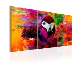 Tableau - Jungle of Colours (120x60)