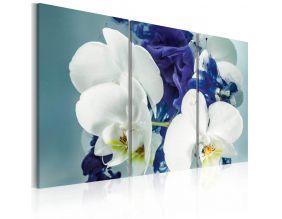 Tableau - Orchidées chimériques (90x60)