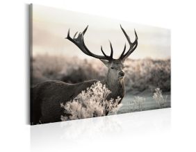 Tableau - Powerful Horns (120x80)