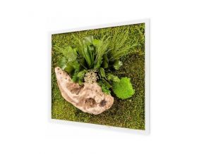 Tableau végétal stabilisé nature Carré (35 x 35 cm)