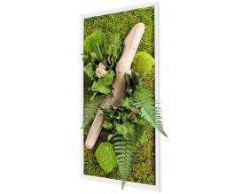 Tableau végétal stabilisé nature Rectangle (27 x 58 cm)