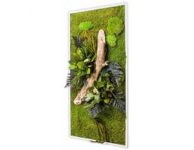 Tableau végétal stabilisées nature Rectangle (57 x 97 cm)