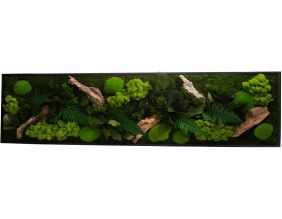Tableau végétal stabilisé canopé Panoramic (115 x 25 cm)