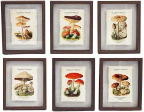 Tableaux décoratifs champignons 30 x 40 cm (Lot de 6)