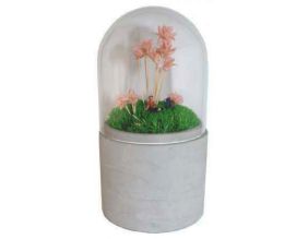 Terrarium cloche fleurs sechées et figurine (Rose)