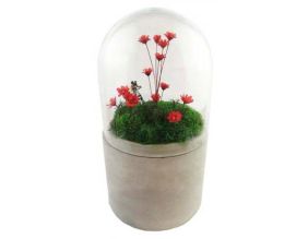 Terrarium cloche fleurs sechées et figurine (Rouge)
