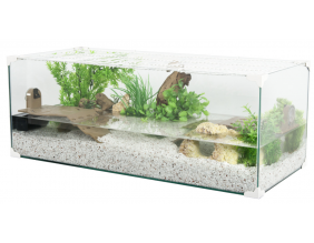 Terrarium pour tortues d'eau Karapas 100 (Blanc)