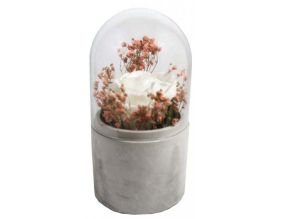 Terrarium verrine rose stabilisée et fleurs sechées (Blanc)