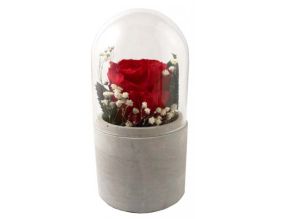Terrarium verrine rose stabilisée et fleurs sechées (Rouge)